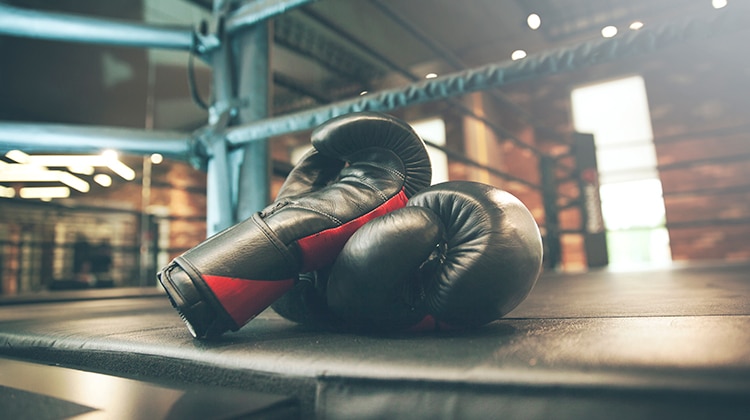 A pair of boxing gloves sits in the corner of the ring.