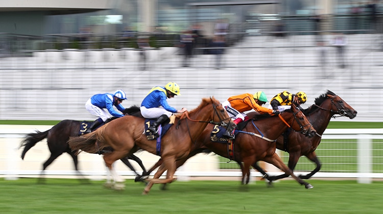 Horses racing at the Epsom Derby