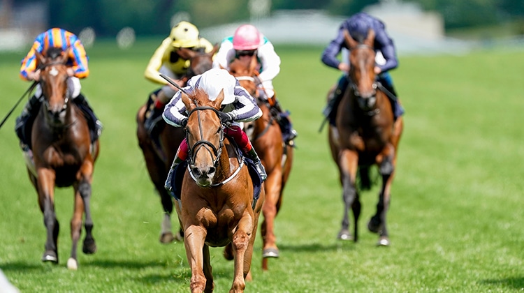 Horses racing at the Epsom Oaks