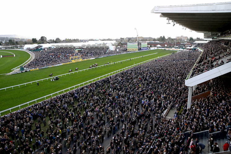 Crowds of people watching day four of Cheltenham in 2020