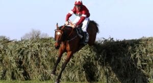 Tiger Roll wins Grand National