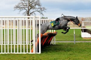 grey horse grand national
