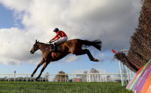 Envoi Allen jumps a fence at the Down racetrack