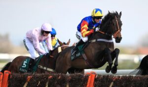 Viva le Rol jumps a fence at the Grand National Festival