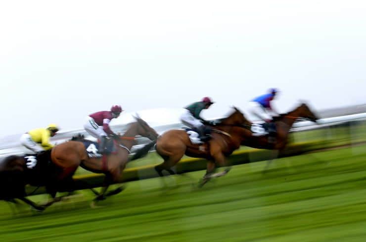 Horses running the Novices' Chase.