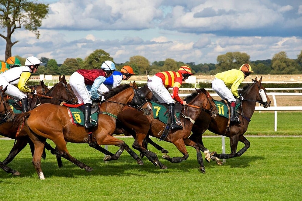 How to Make a Lucky 15 Bet