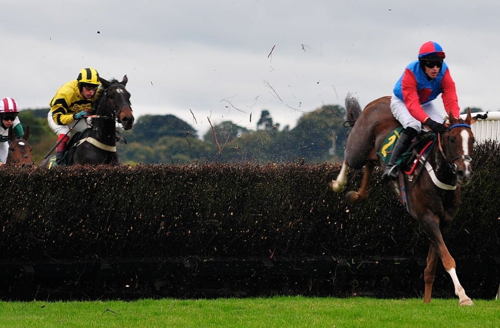 Merseyrail Manifesto Novices’ Chase