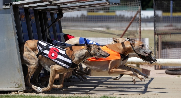 Crayford hosts a nice-looking card on Tuesday.