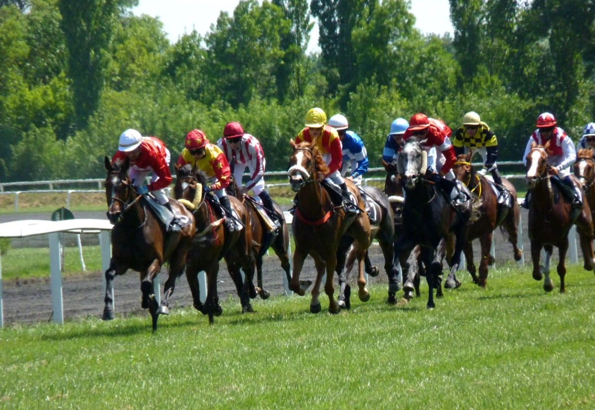 Ten Fascinating Facts About the Cheltenham Festival