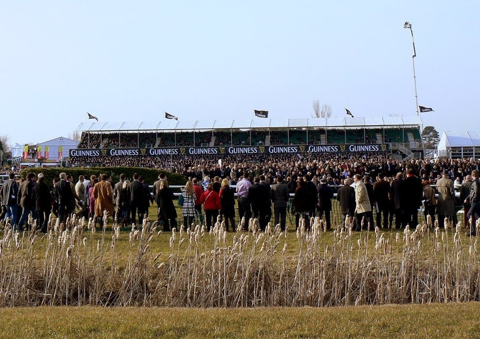 6 Most Successful Female Jockeys at the Cheltenham Festival