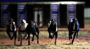 Romford plays host to an intriguing card on Friday.