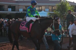 world's richest horse races