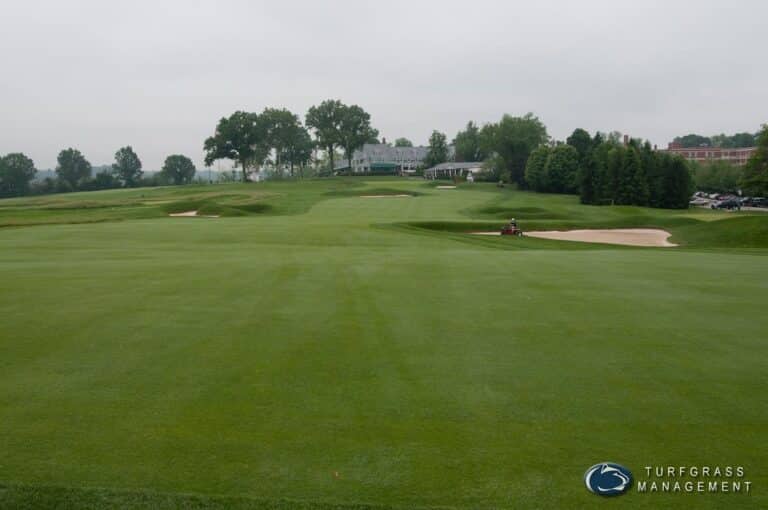US Open 2025 betting tips, key stats and golfers to watch at Oakmont