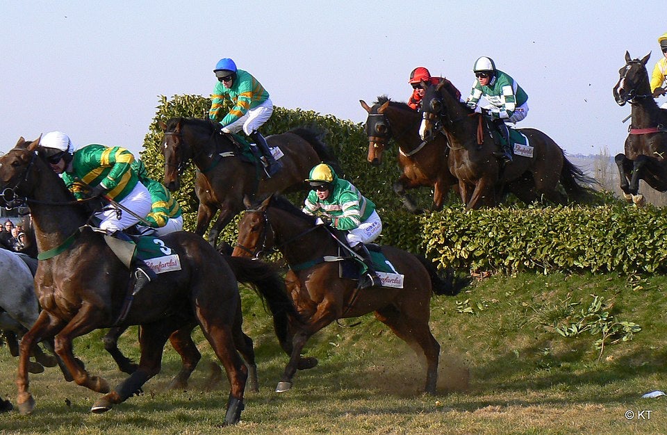 The 5 Greatest Cheltenham Winners of All Time
