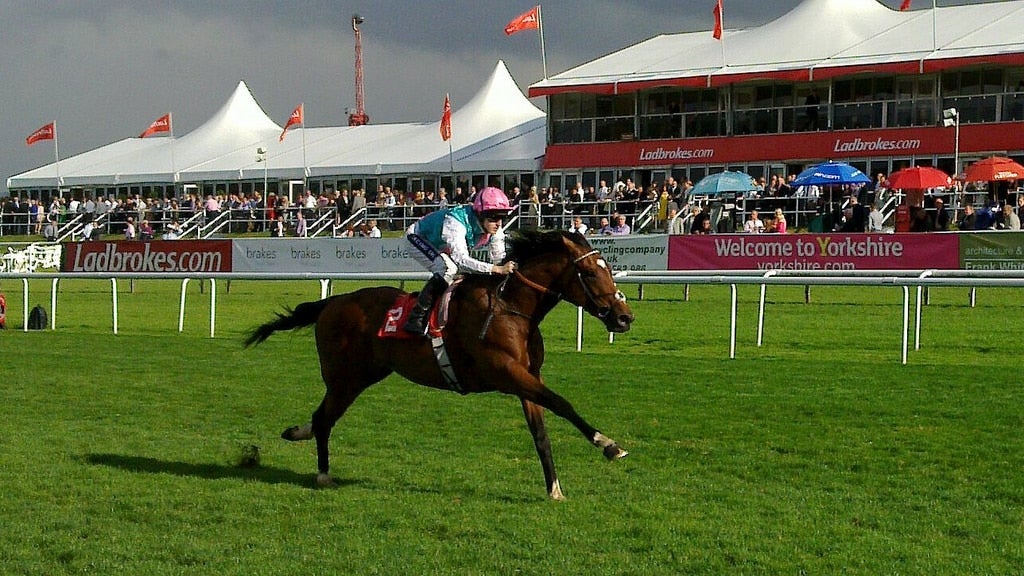 Top 5 Greatest Royal Ascot Winners of All Time