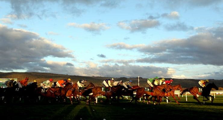 Horses racing in the Champions Bumper Race at Cheltenham