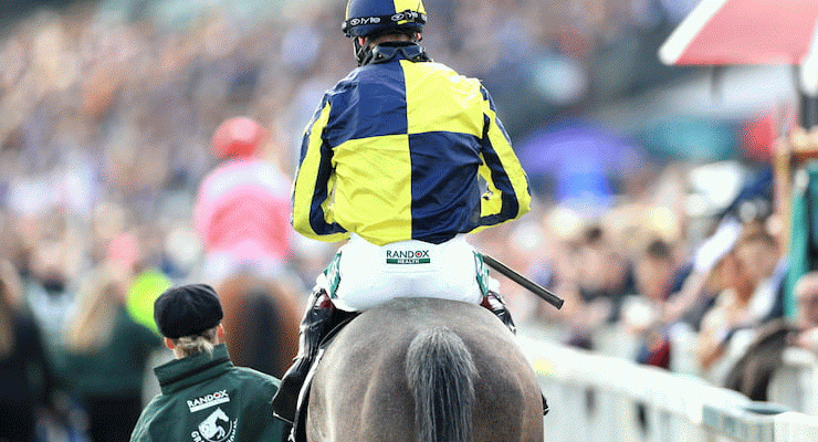 Jockey rides towards enclosure at the Mersey Novices' Hurdle in 2019
