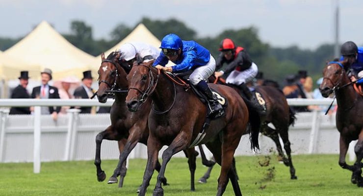 Horses racing at Royal Ascot on Tuesday