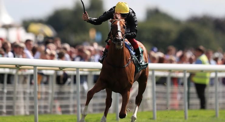 Stradivarius wins the 2019 Lonsdale Cup at York.