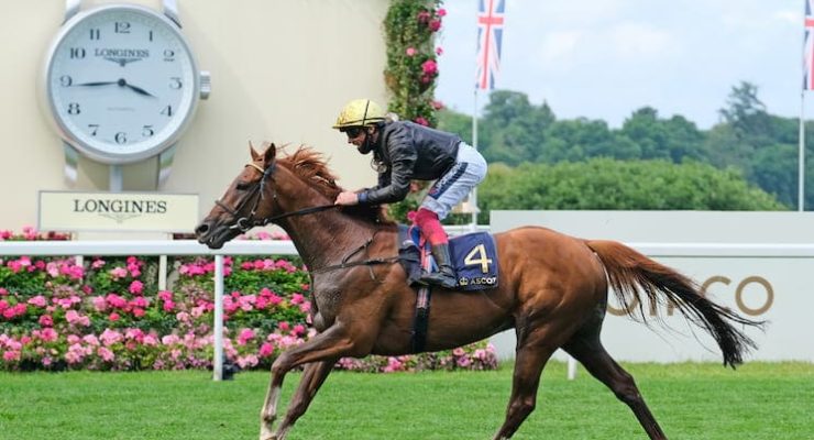 Racehorse Stradivarius chalks up another victory