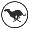 greyhounds-icon