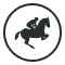 horse-racing-icon