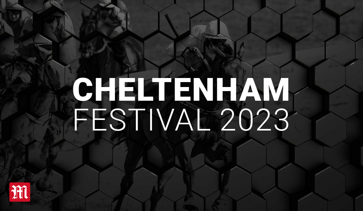 Cheltenham Festival Betting