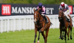 Grand National Betting