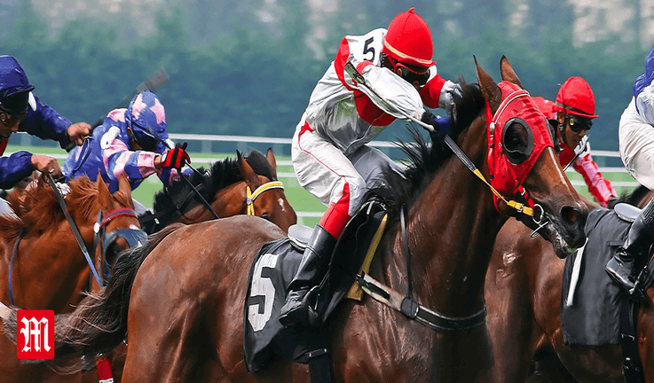 Horse Racing Horse Racing