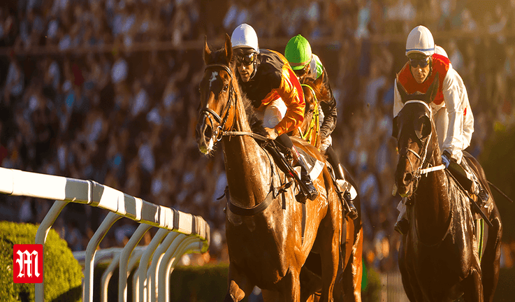 Horse Racing Horse Racing