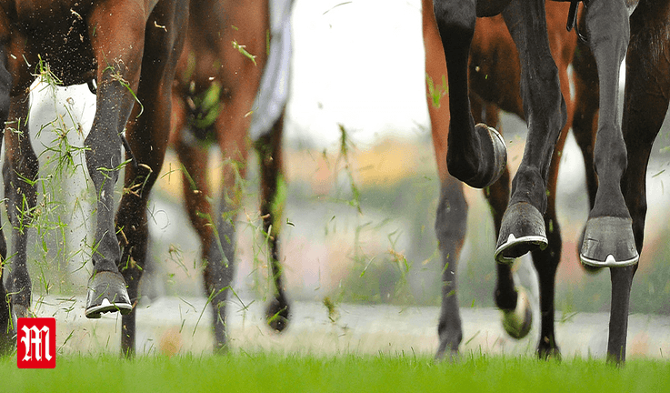 Horse Racing Horse Racing