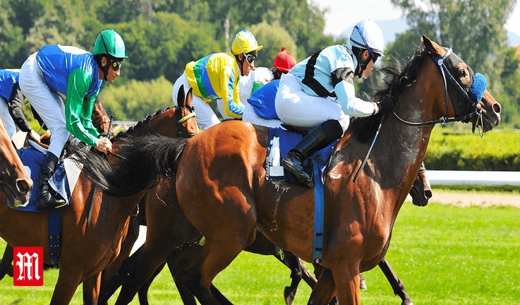 Horse Racing Horse Racing