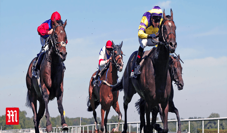 Horse Racing Horse Racing