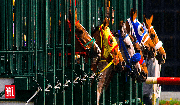 Horse Racing