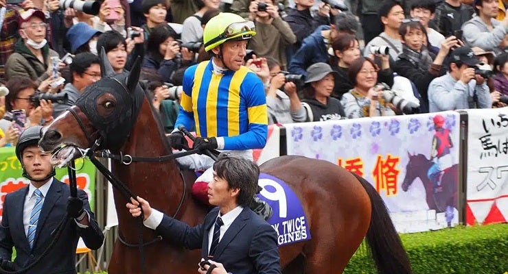 Top 5 Jockeys in Horse Racing History: Legends in the Saddle