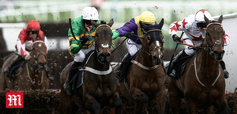 Cheltenham betting