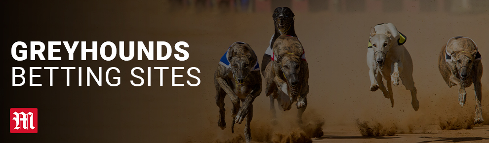 Greyhounds Betting Sites