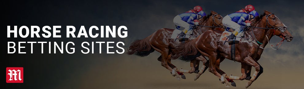 Horse Racing Betting Sites | Top Sportsbooks for Horse Racing Betting